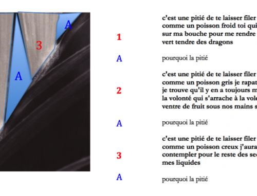 L’image : intermédialité entre poésie et photographie argentique